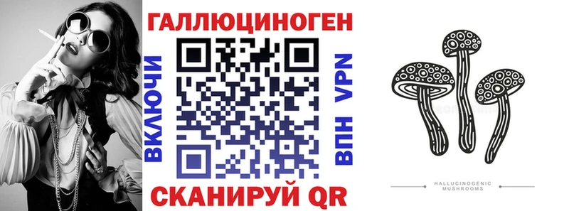 Псилоцибиновые грибы Psilocybe  Михайловск 